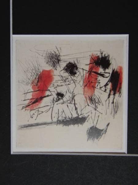 池田満寿夫、作品 、希少画集画、高級額装、状態良好