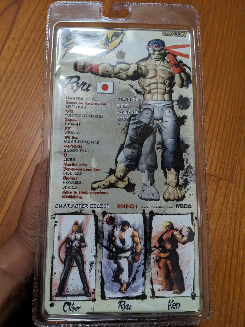 ネカ社 ストリートファイターリュウ