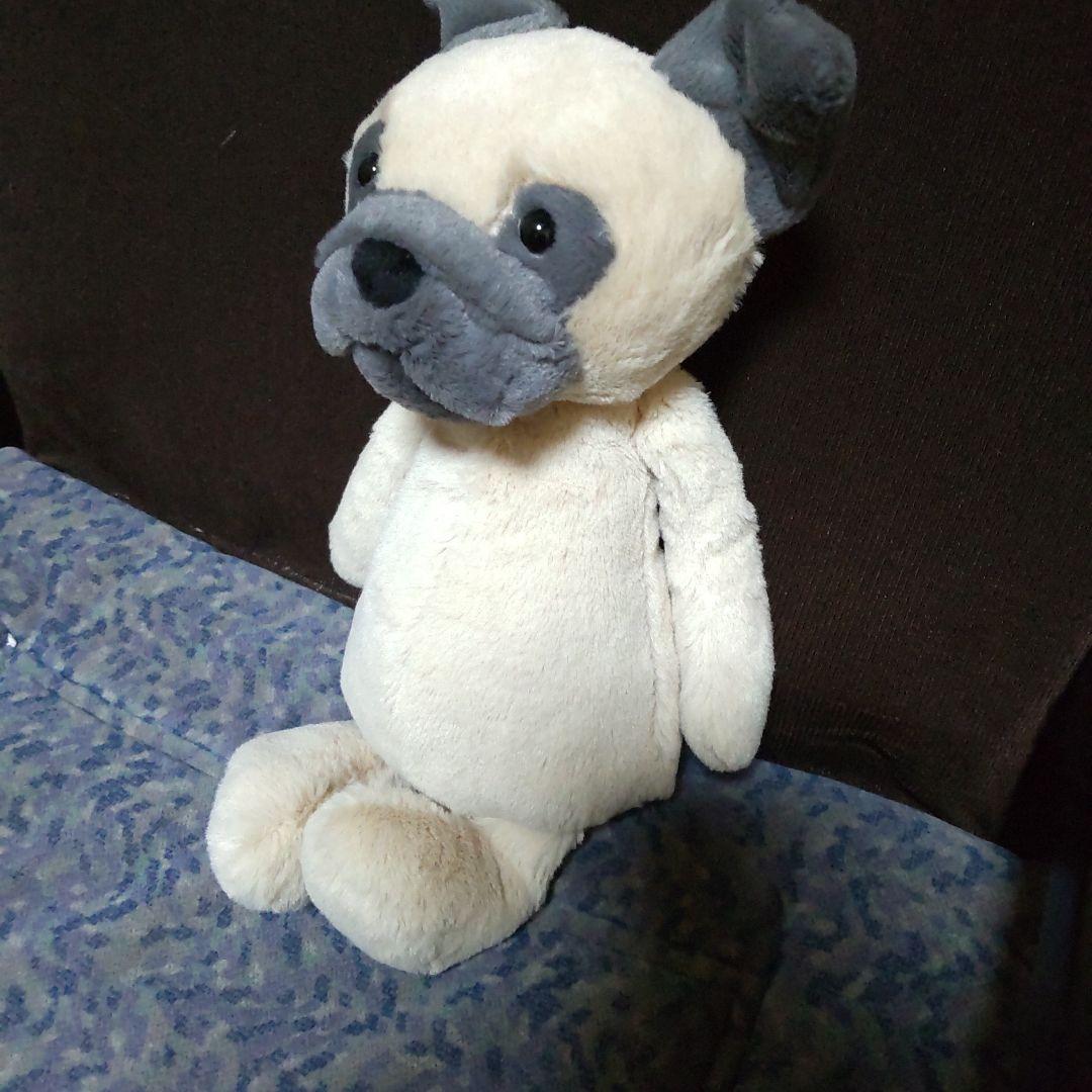  ジェリーキャット パグ 犬