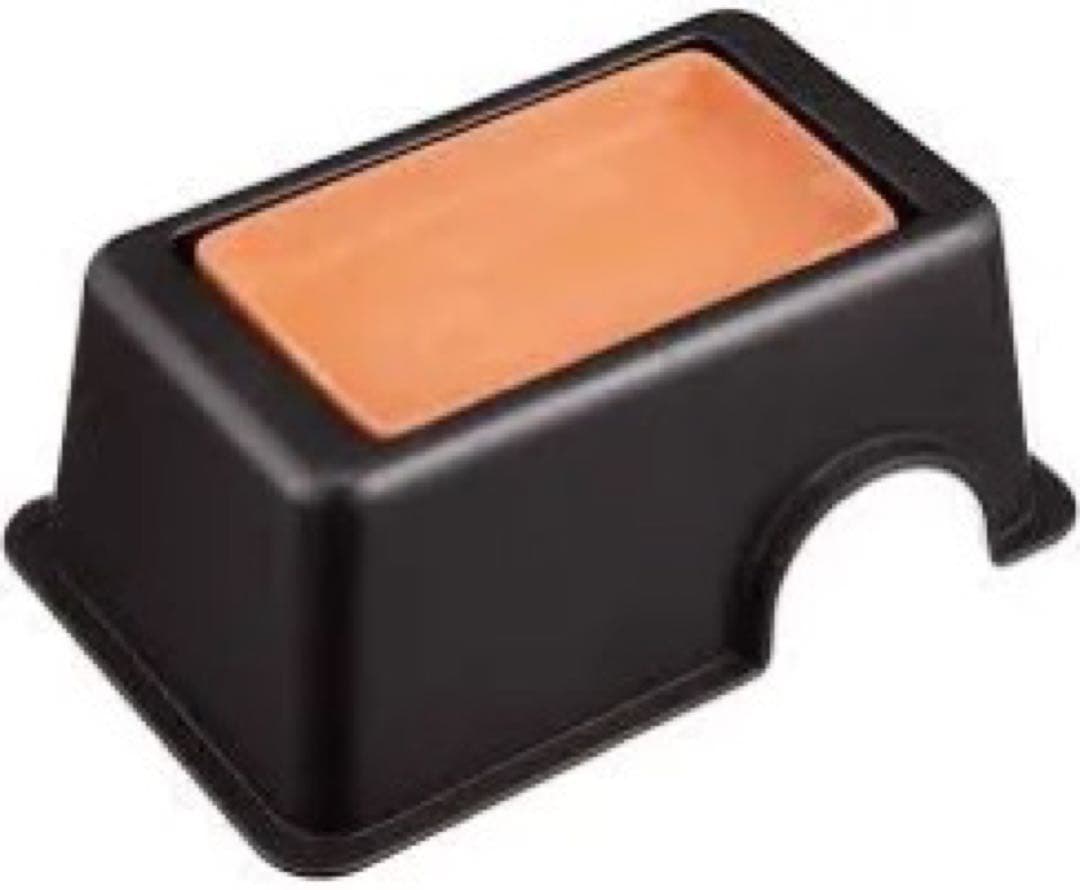 爬虫類　飼育　セット