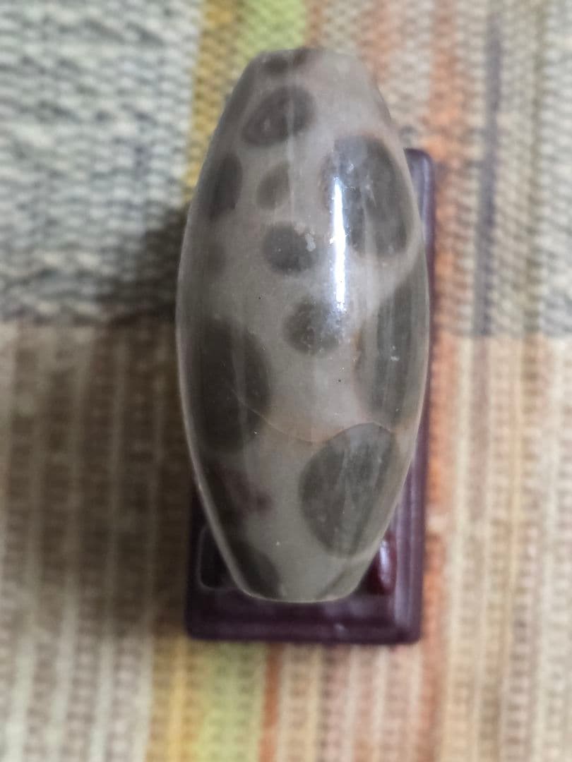 886　天珠　希少　釈迦偉伝　水晶質瑪瑙　西蔵　金剛　仏舎利！