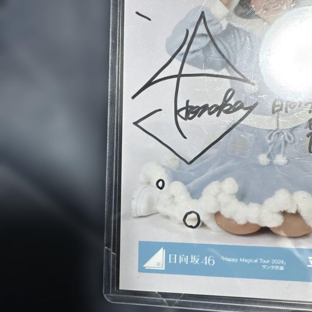 日向坂46 サイン入り写真 水色コート