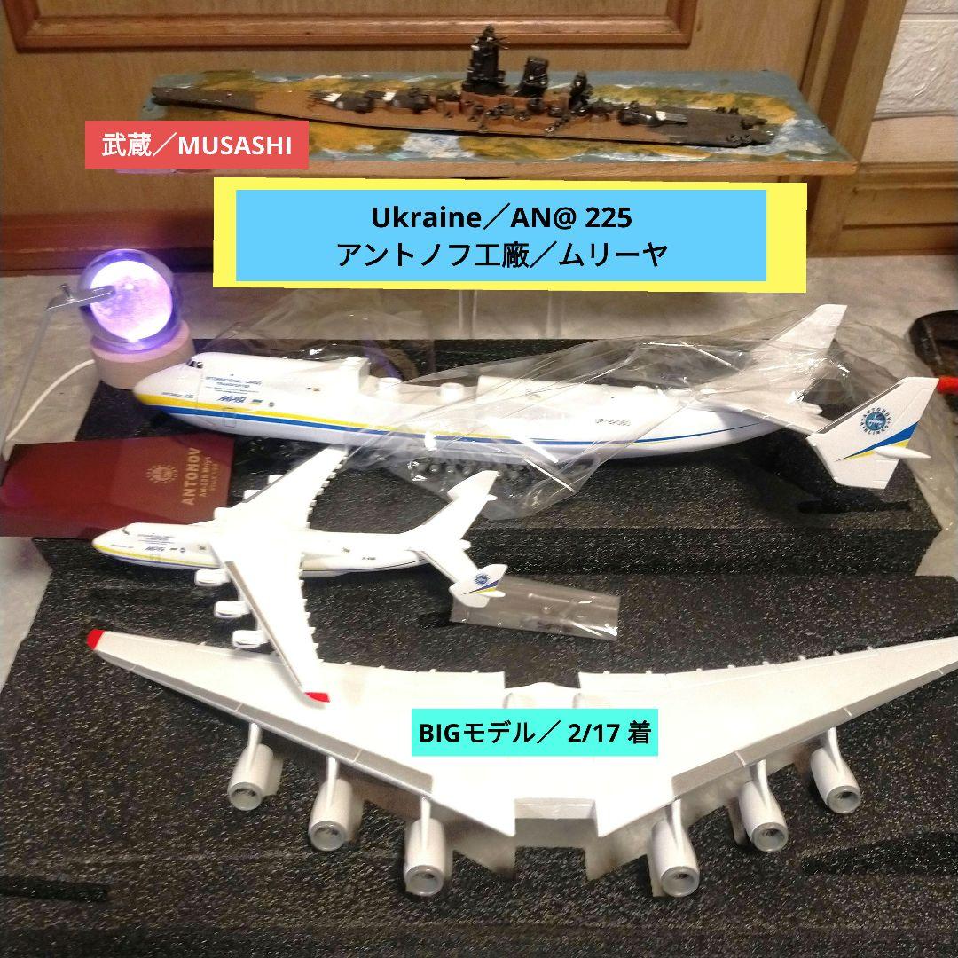 genさん専用 ／アントノフ ムリーヤ 42cm