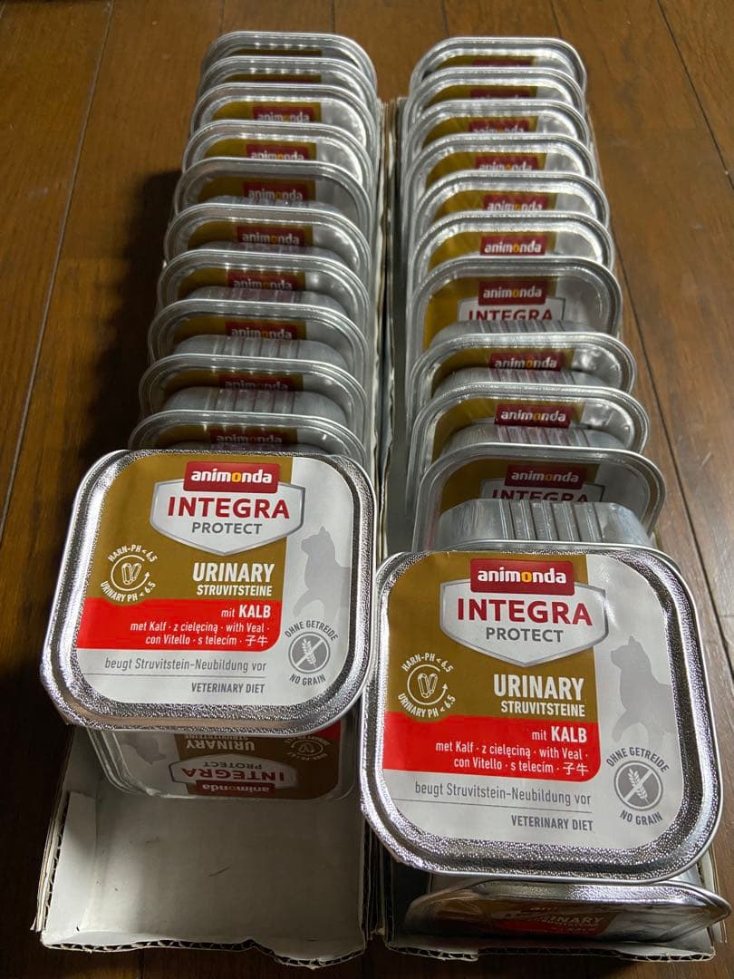 アニモンダ　猫用療養食31個　ストルバイト結石