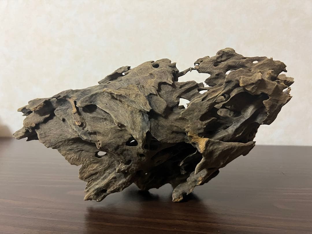 XM-367 ブランチウッド　流木　マシンガンウッド　アクアリウム　沈水確認済