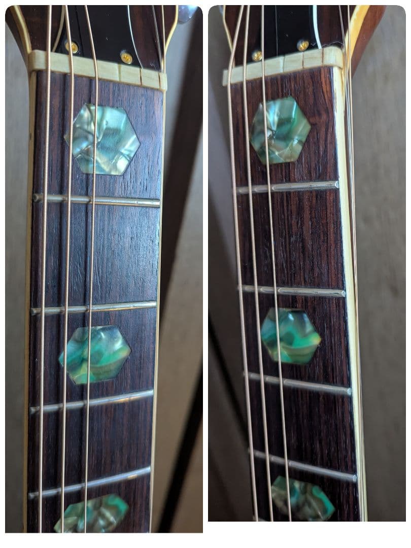 ♪Tomson D-58•ハカランダ♪