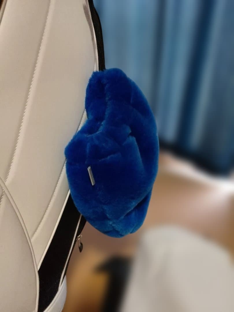 ミズノ ネクスライト キャディバッグ 5LJC210300 軽量9.0型 5分割