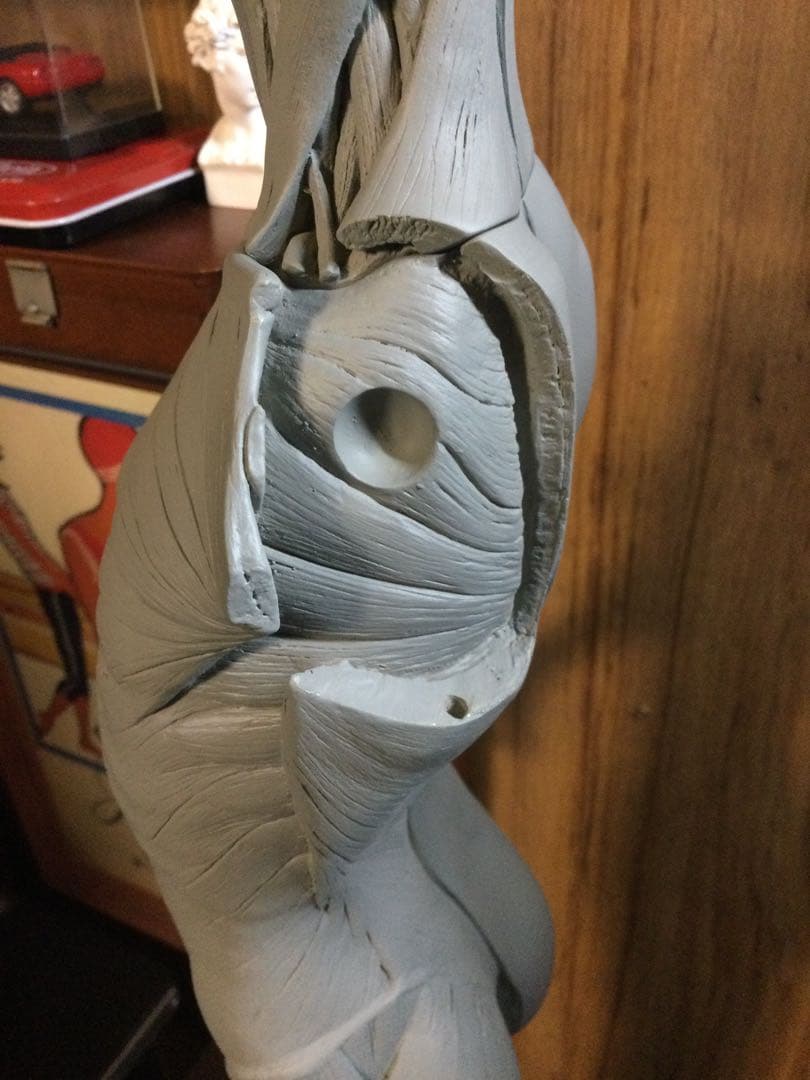 AnatomyTools アナトミーフィギュア　女性　1/3