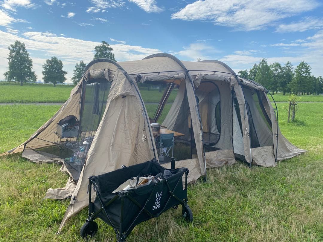 『期間限定値下げ』サバティカルアルニカ