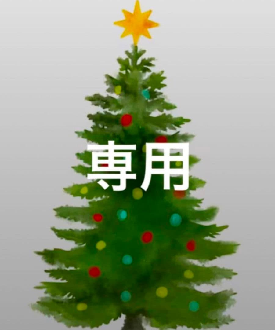 専用のお品物となります　りんご他