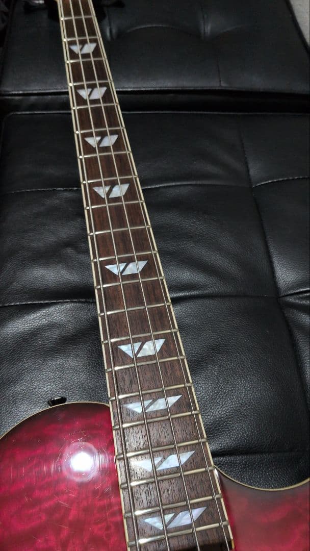 BURNY FERNANDES LSB-135 エレキベース LSB