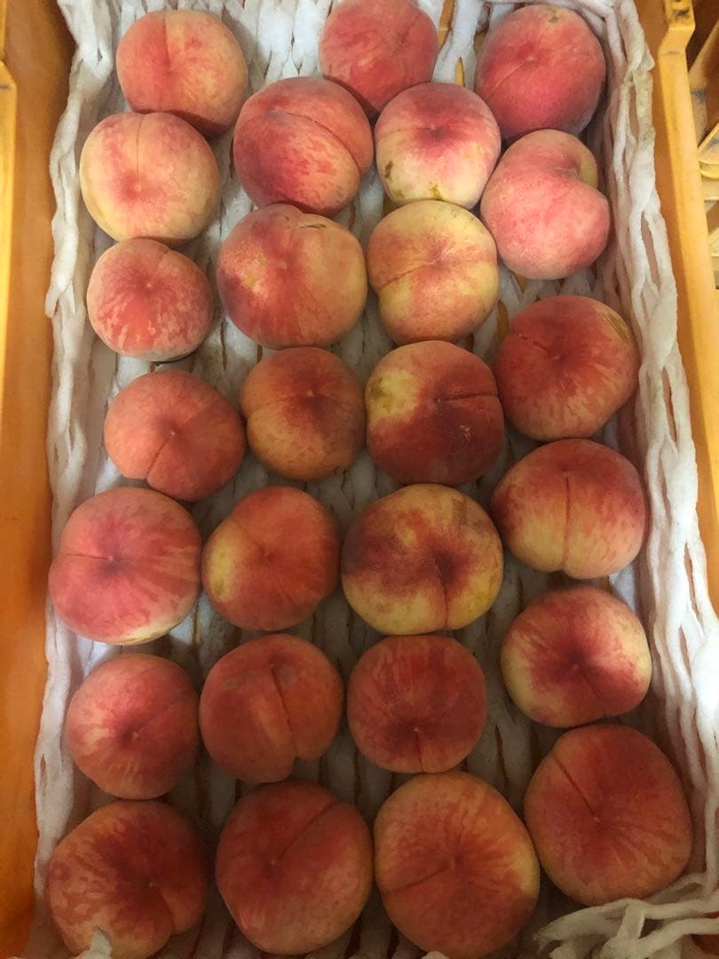 122.早勝ち福島産朝採り完熟桃箱込み15kg訳あり家庭用甘くて美味しい桃常温便