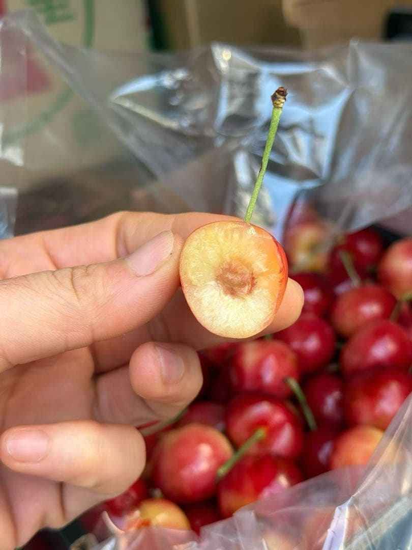 レイニアチェリー2.2kg爆大号高級贈答