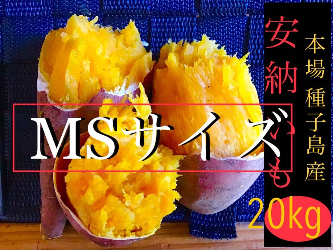 MSサイズ20kgさつまいも種子島産安納芋 焼き芋におやつに　#052