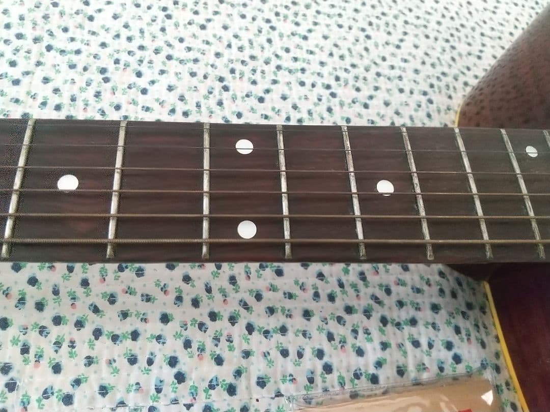 MORRIS モーリス アコースティック フォーク ギター W-20 おまけ 弦