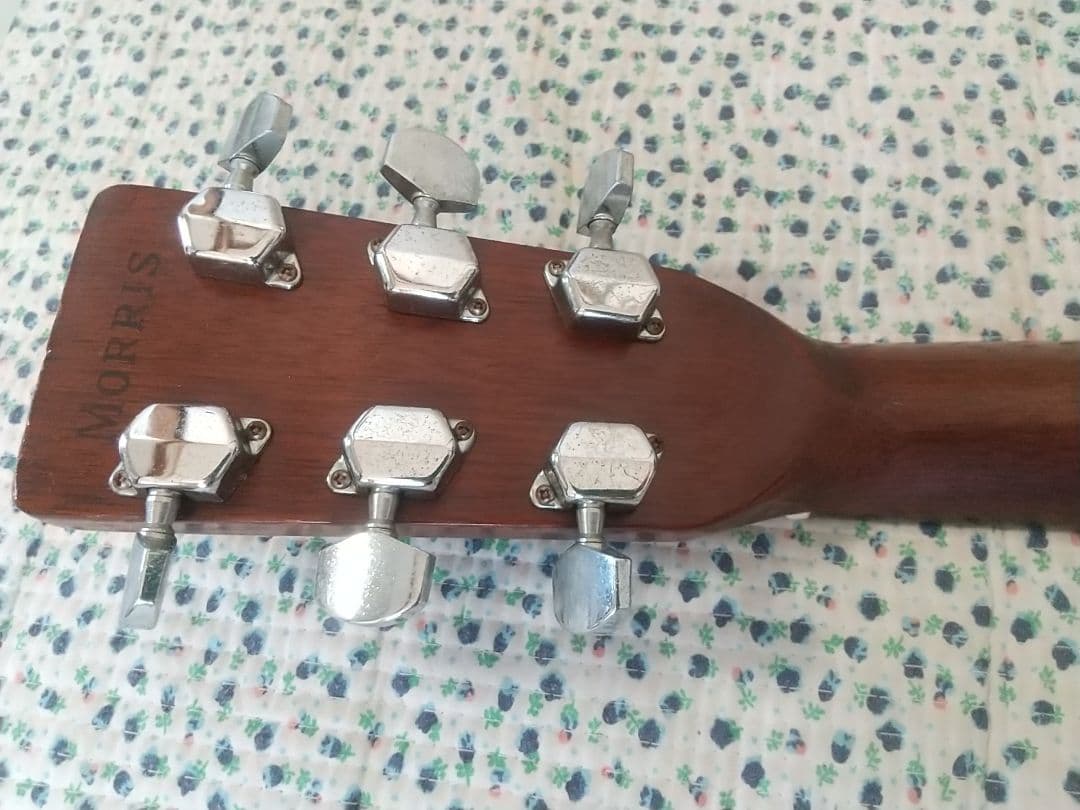 MORRIS モーリス アコースティック フォーク ギター W-20 おまけ 弦