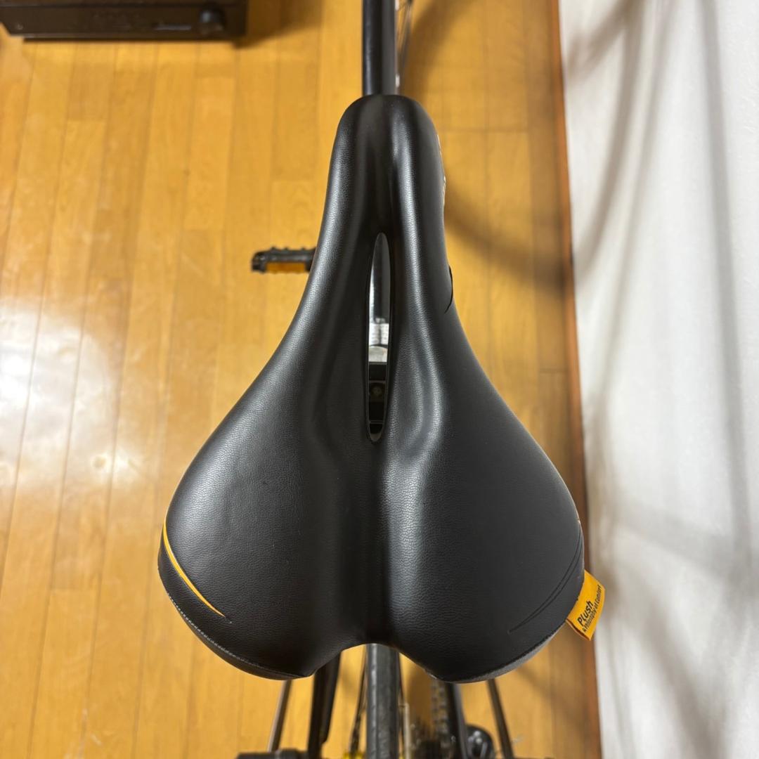 【現地引取】Raychell+ GolDragon 700C R+713