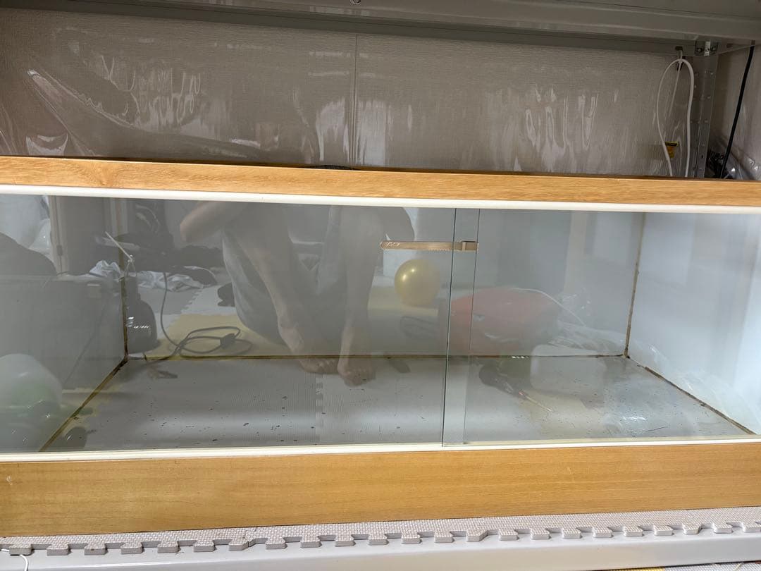 TH 大型爬虫類ケージ