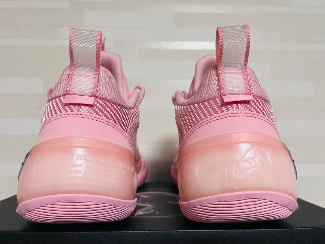 Li-Ning Way of Wade 10 即完 ピンク バッシュ 美品