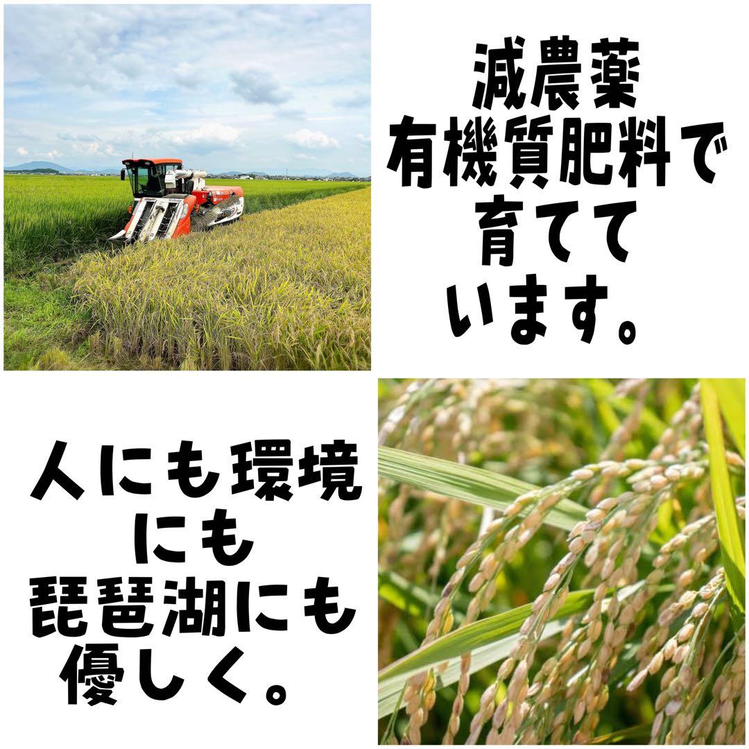 【令和7年度新米】近江米 ミルキークイーン 5kg +コシヒカリ5kg