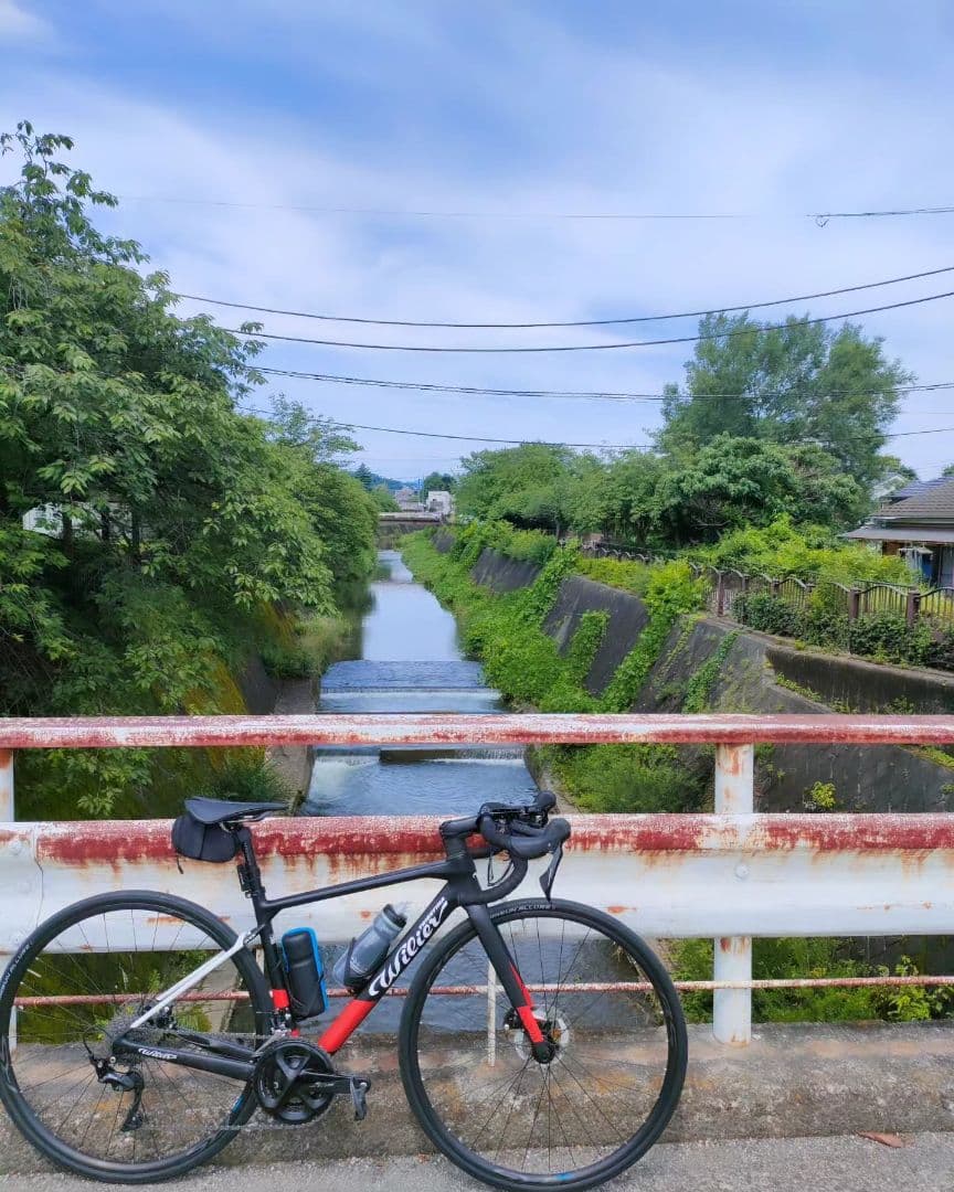 ウィリエール　ガルダdisc　完成車　ロードバイク　カーボンロード
