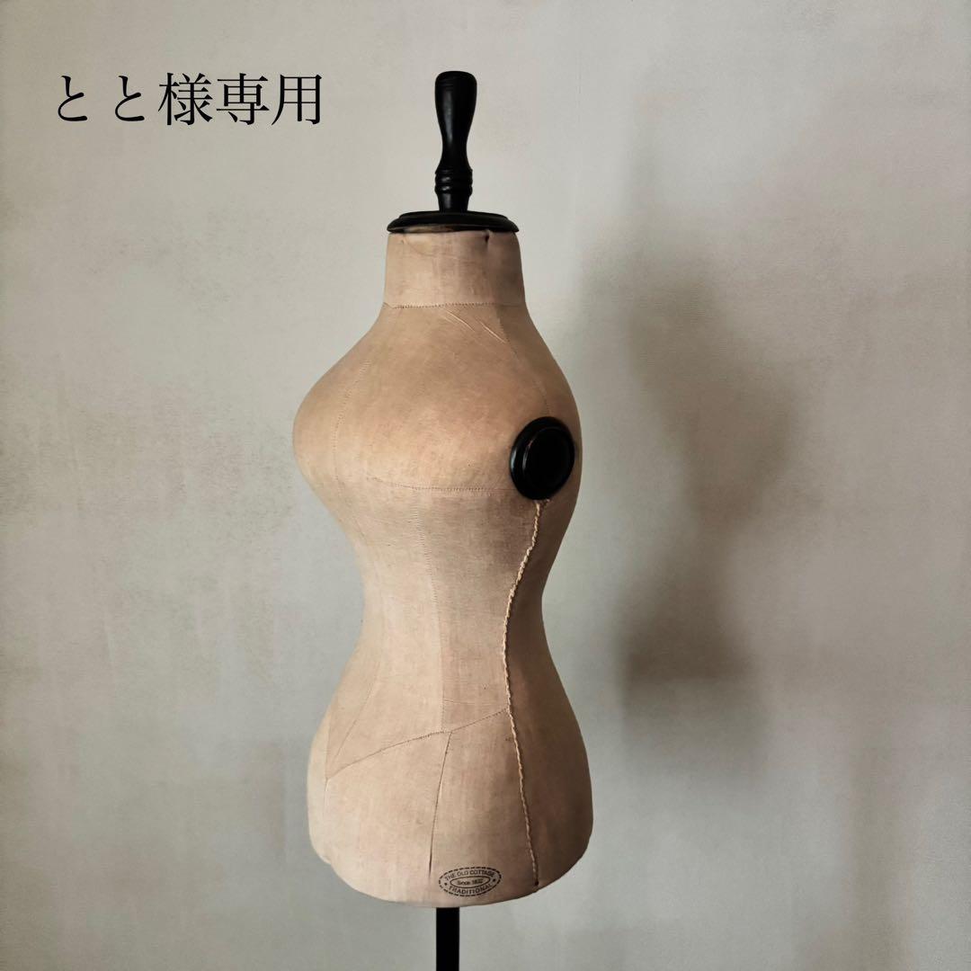 とと【GLOBE】アンティークトルソー