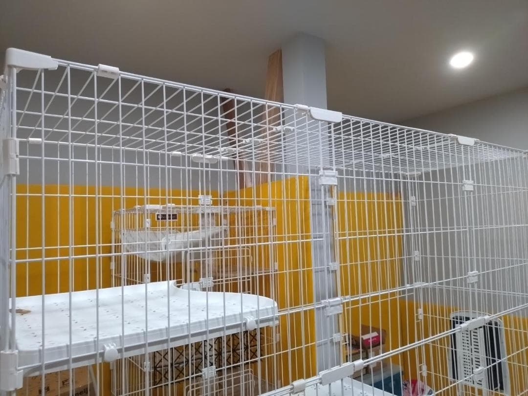 猫ケージ大型3段 解体済　組み立てが出来て福井市まで引き取りに来て頂ける方限定