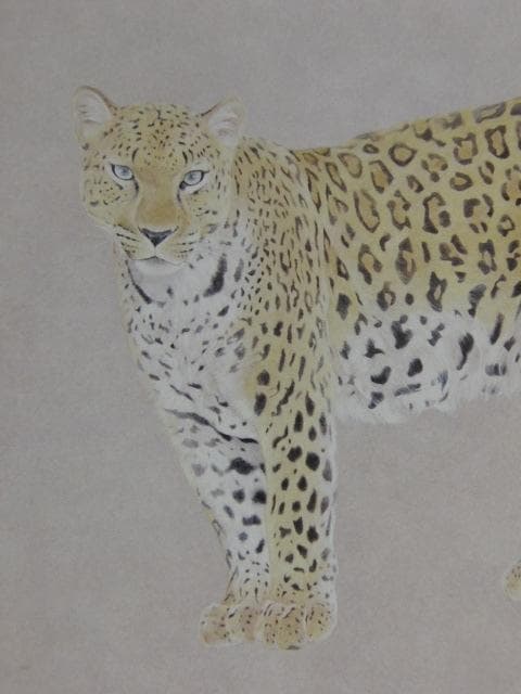 河股幸和、【紋】、希少な額装用画集より、新品額装付、状態良好