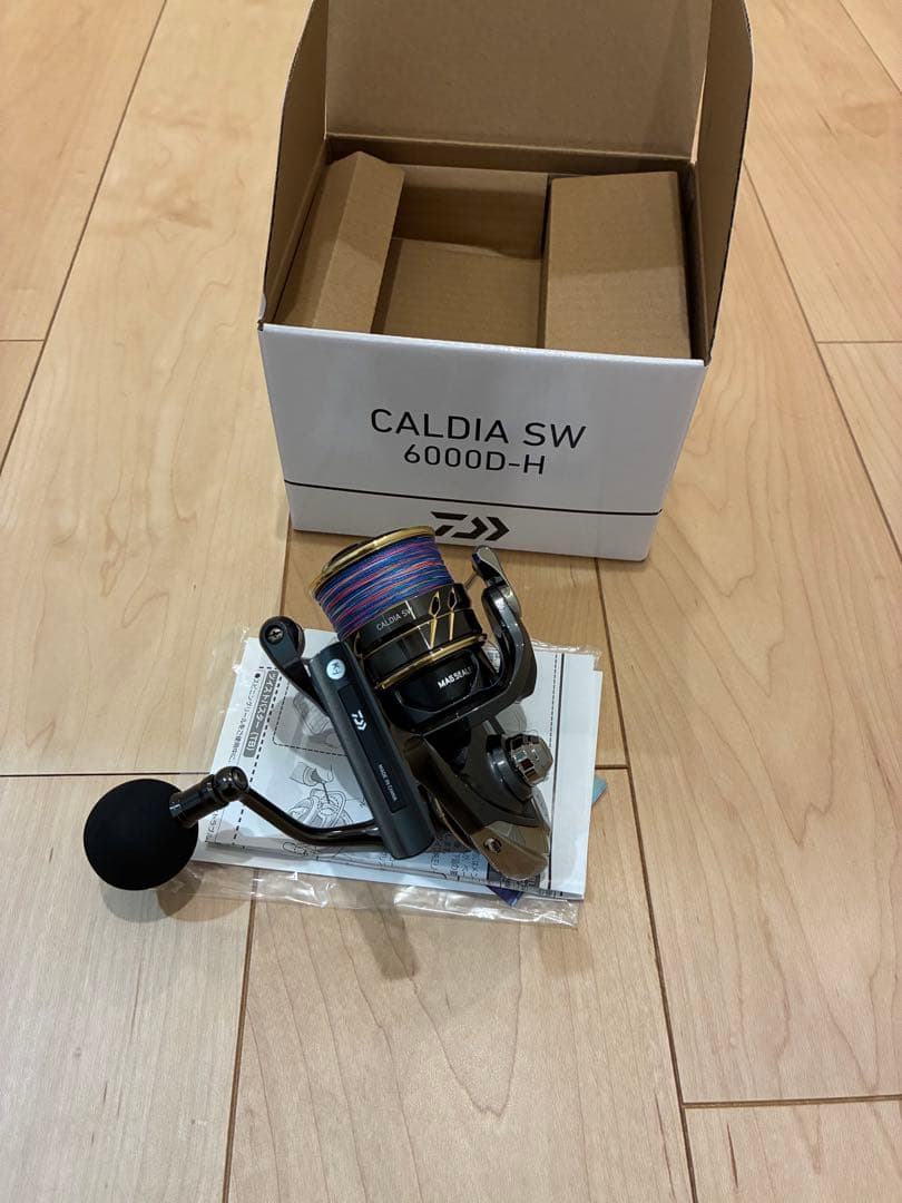 22カルディアsw 6000D-H