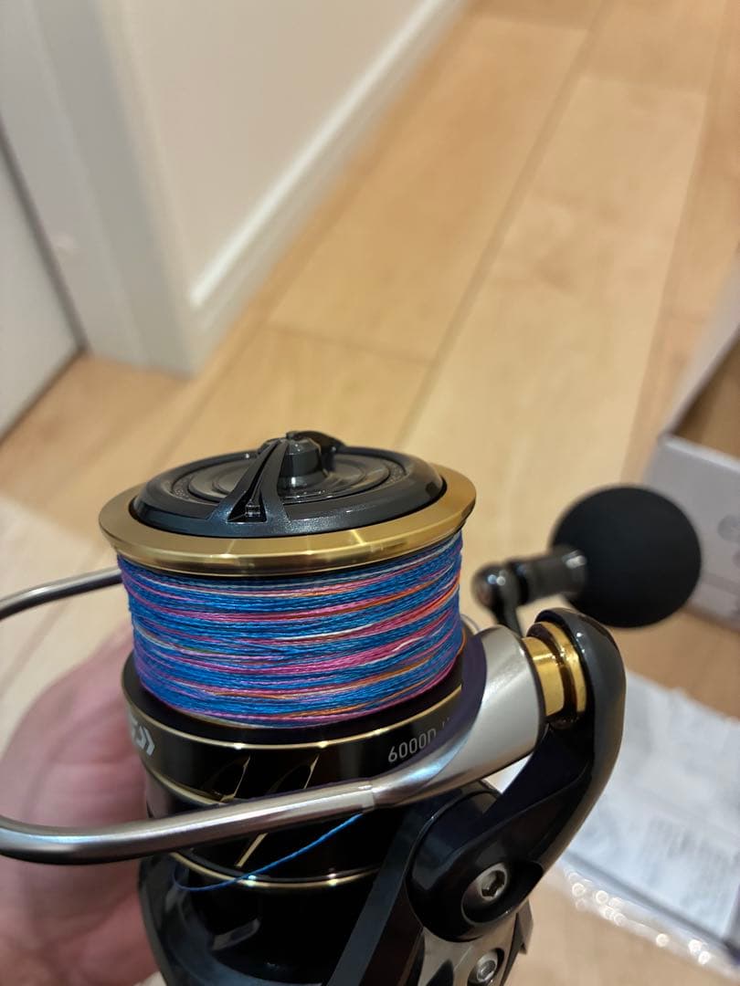 22カルディアsw 6000D-H