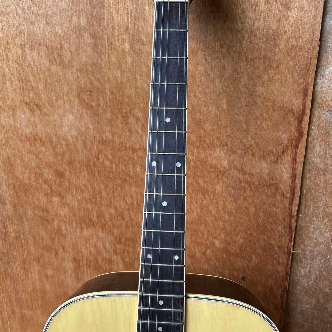 Morris アコースティックギター スプルース