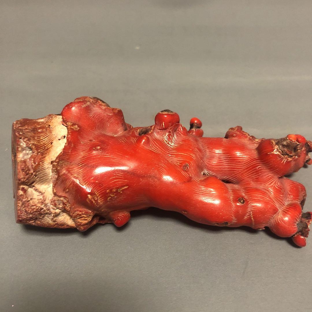 山珊瑚　念珠　原木セット