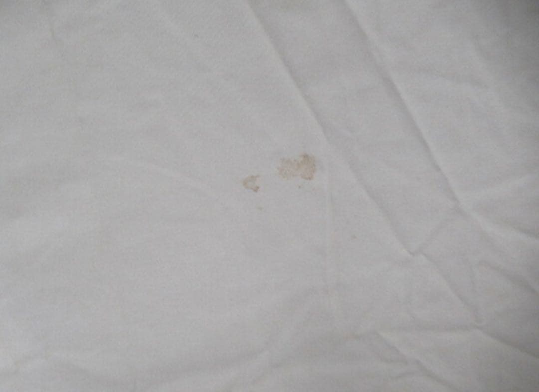 SABBATICAL サバティカル モーニンググローリー TC