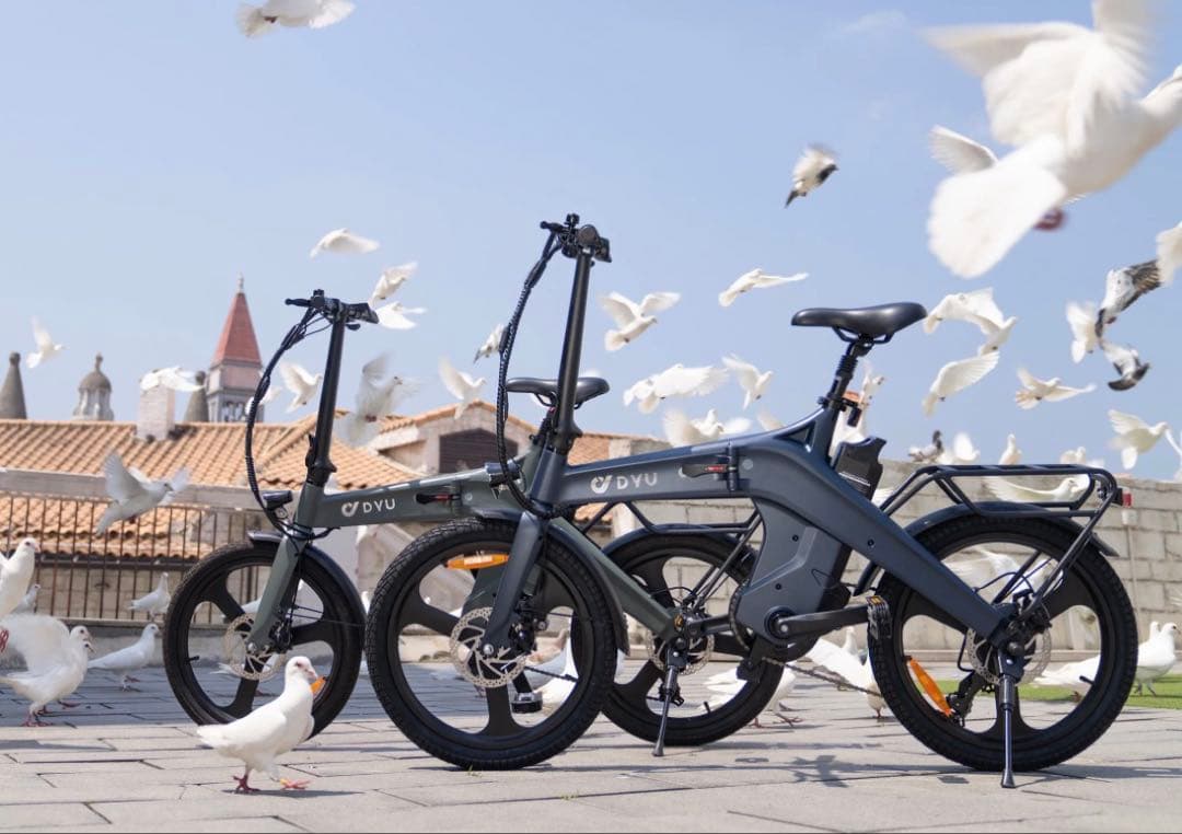 DYU 電動アシスト自転車 20インチ グレー　引き取り限定