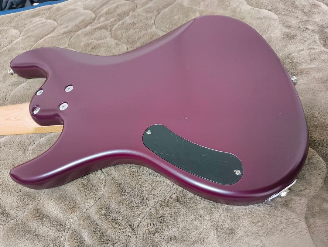 ベース FREEDOM Bass Anthra 5st