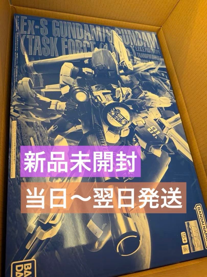 新品 ＭＧ 1/100 Ｅｘ-Ｓガンダム/Ｓガンダム タスクフォースα Ｖｅｒ.