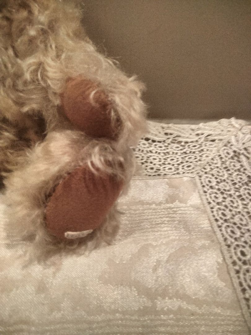 テディベアアーティスト「Tokotoko Bear Japan」作のテディベア