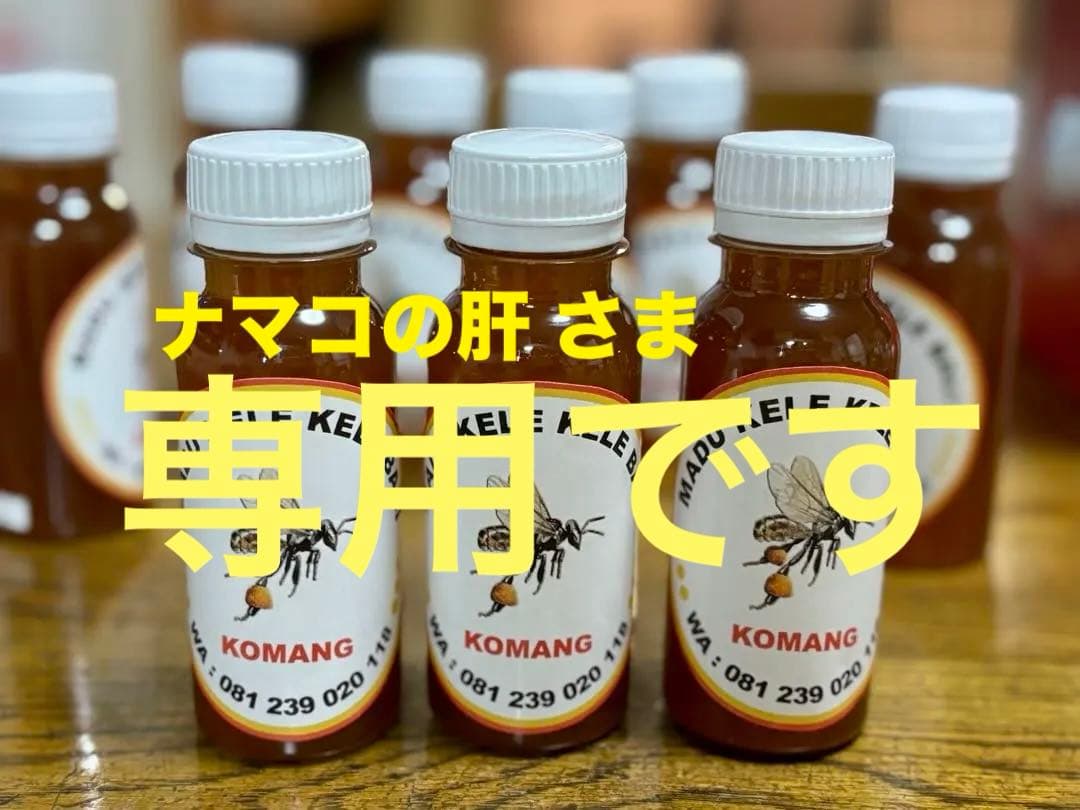 専用 針なしミツバチの蜂蜜150g6本、サリビンクリーム、赤生姜、森の蜂蜜