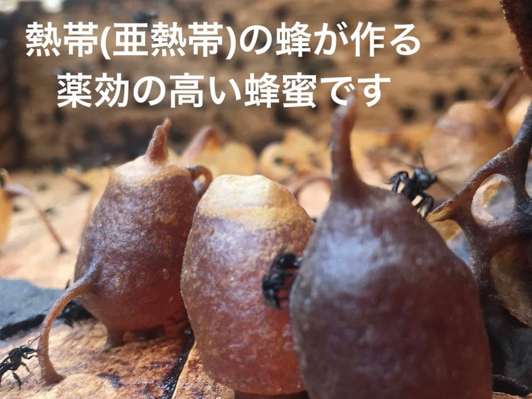 専用 針なしミツバチの蜂蜜150g6本、サリビンクリーム、赤生姜、森の蜂蜜