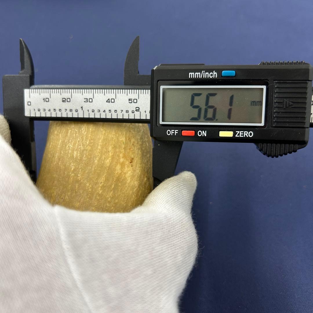 鯨の歯 牙 マッコウクジラ 重量378.1g レア 希少 大きめ 重め キバ