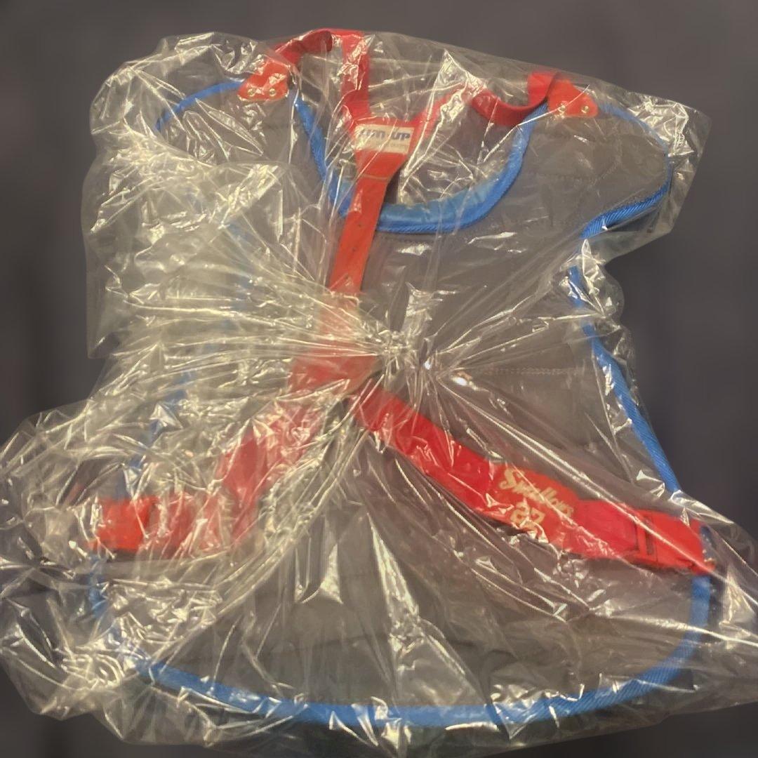 古田敦也　東京ヤクルトスワローズ　マスク　プロテクター　実使用　古田　ヤクルト