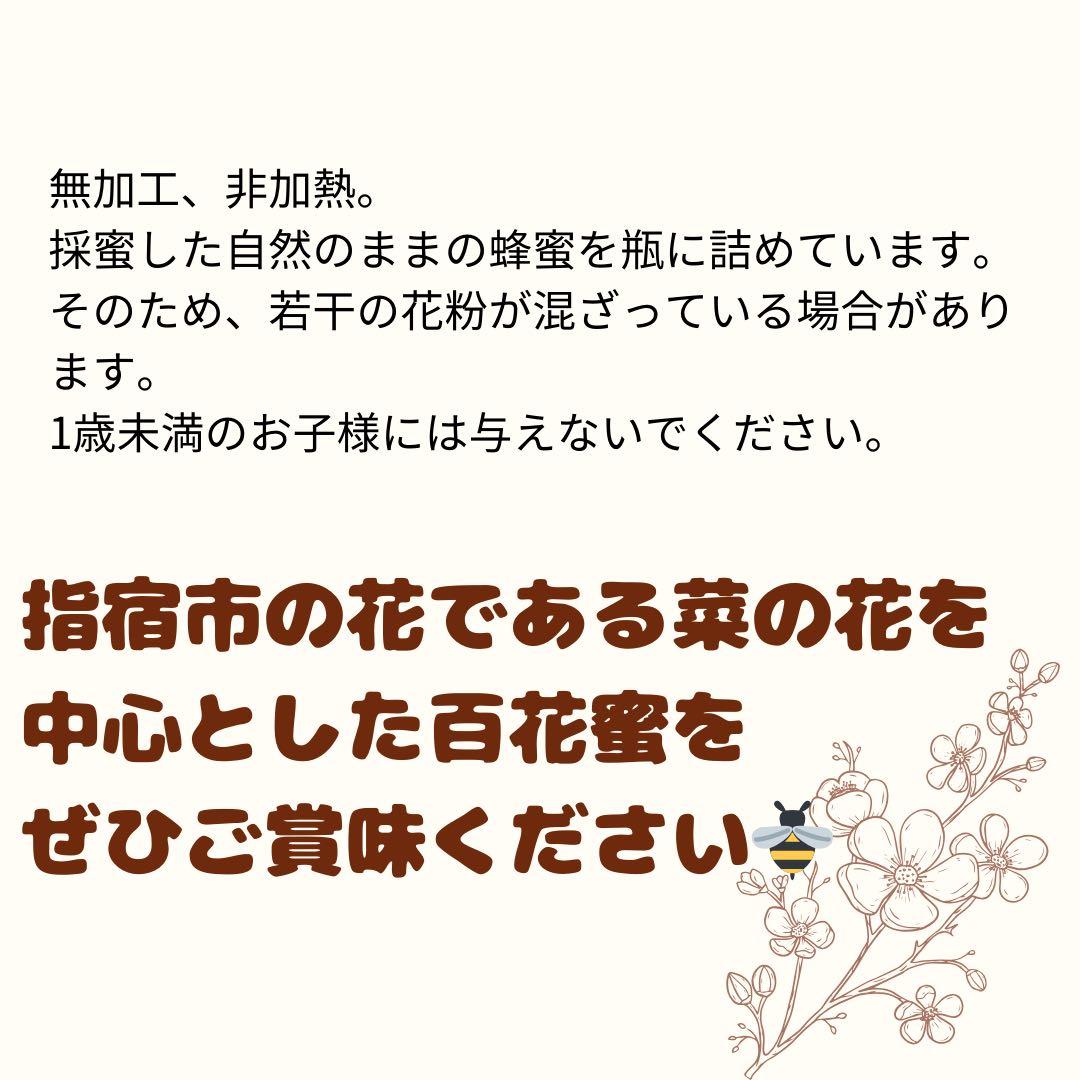 指宿産 日本蜜蜂 百花蜜500g×2本