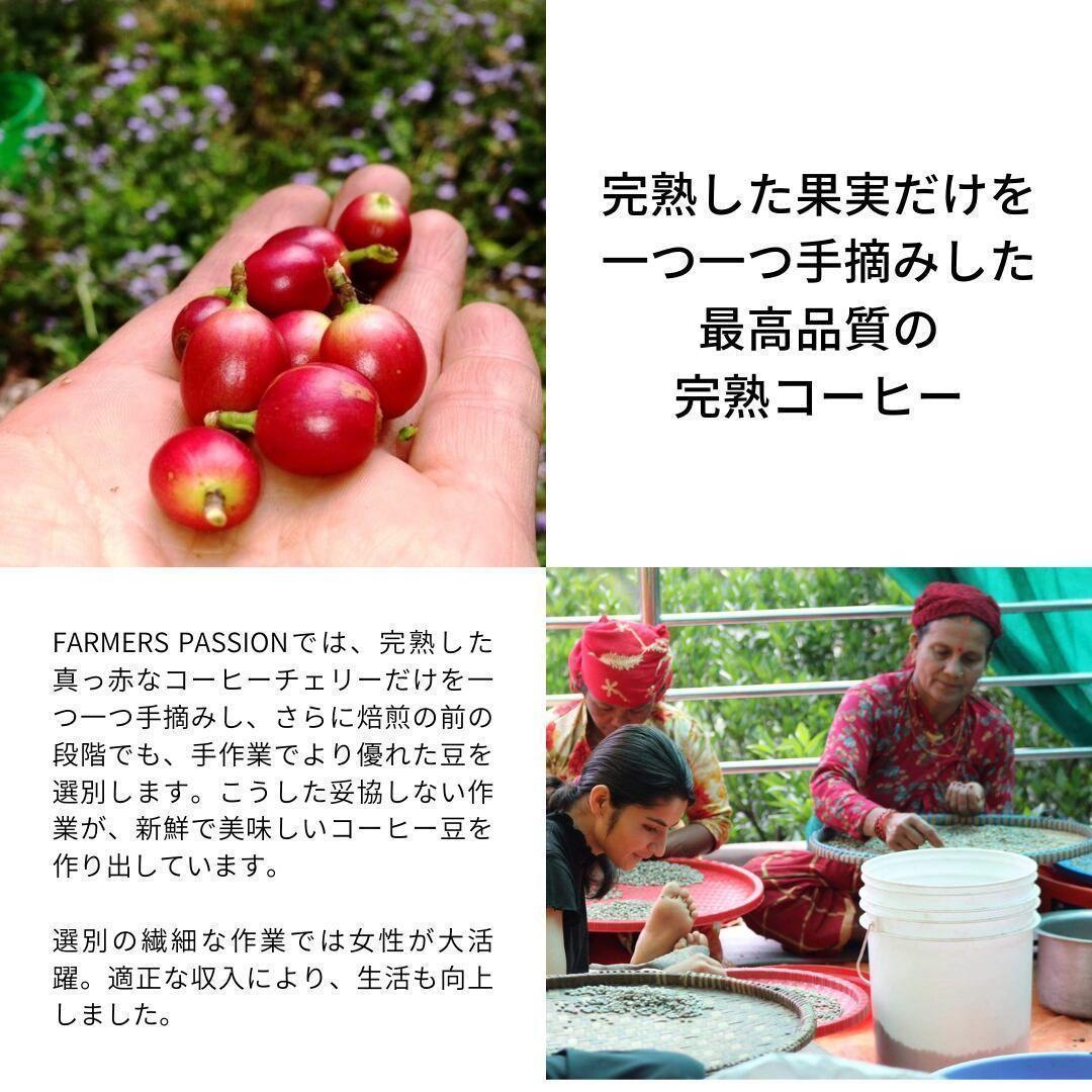 オーガニックコーヒー アメリカン フェアトレード 1kg コーヒー豆 ネパール