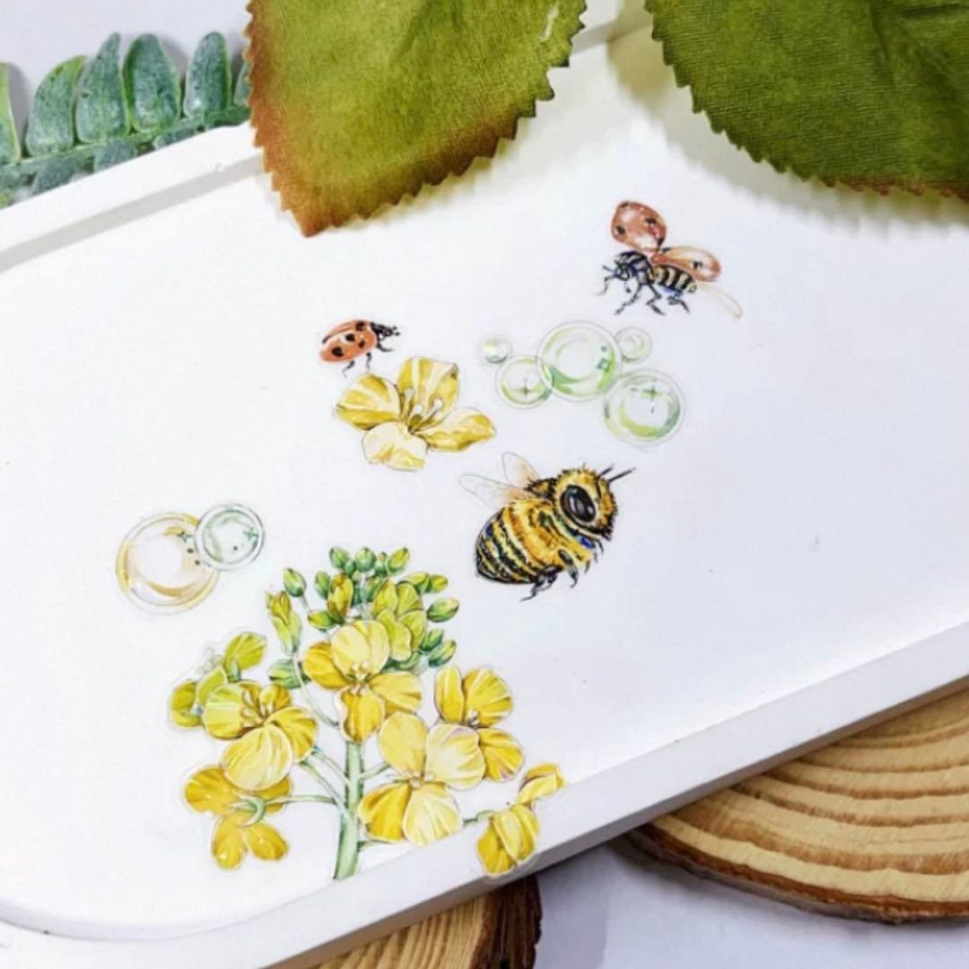 贝壳光 花虫渡 ダイカット加工 6cm×5m 海外マスキングテープ