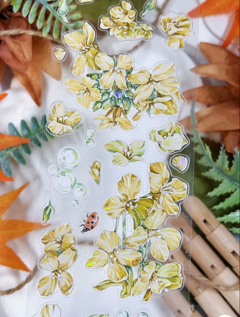 贝壳光 花虫渡 ダイカット加工 6cm×5m 海外マスキングテープ