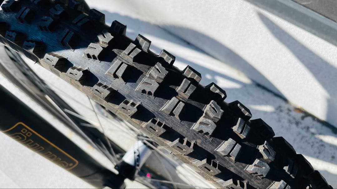 自転車本体 Specialized Enduro Elite 29 Carbon M