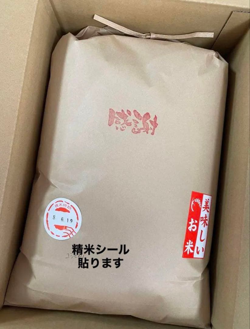 兵庫県産コシヒカリ 白米 10kg コウノトリ米 お米10キロ　②