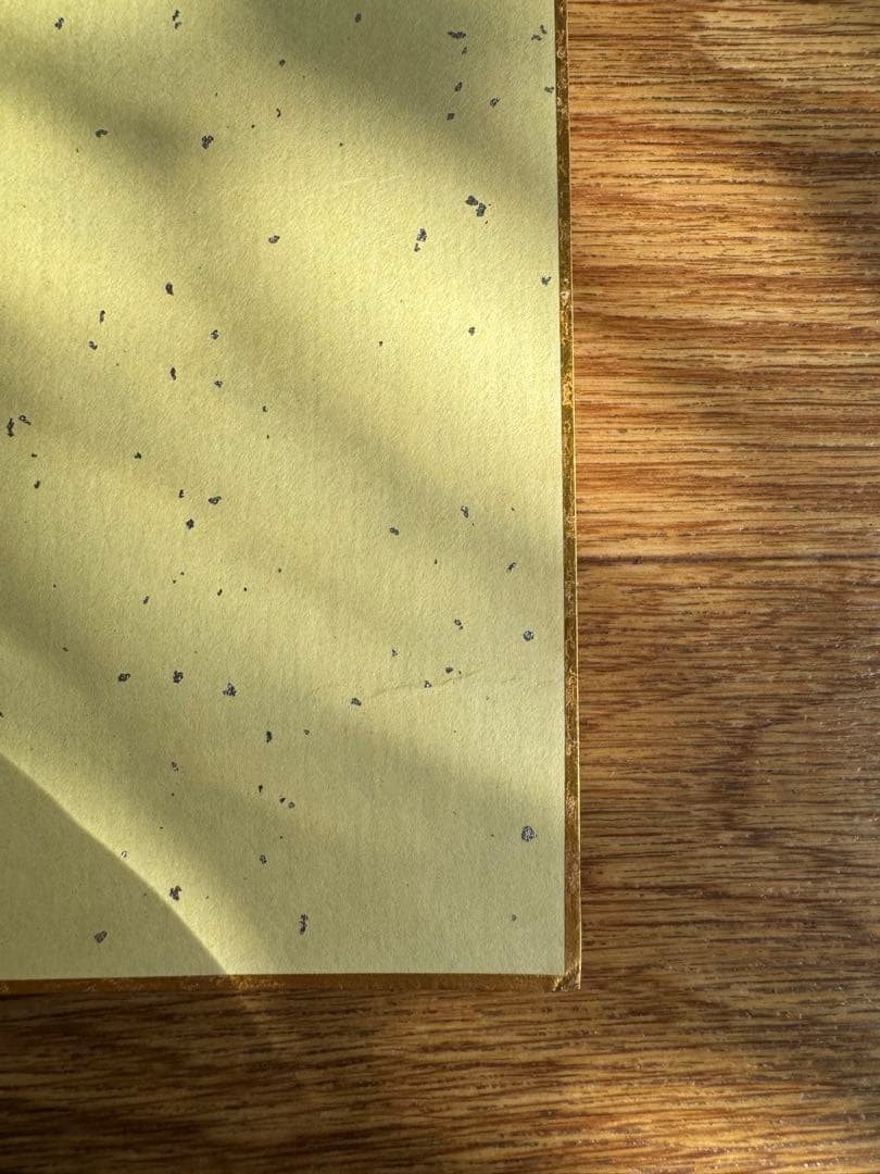 読売ジャイアンツ　後藤孝志　直筆サイン色紙