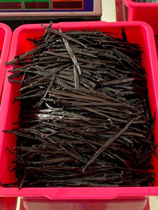 【43%OFF】バニラビーンズ 12cm以上 500g