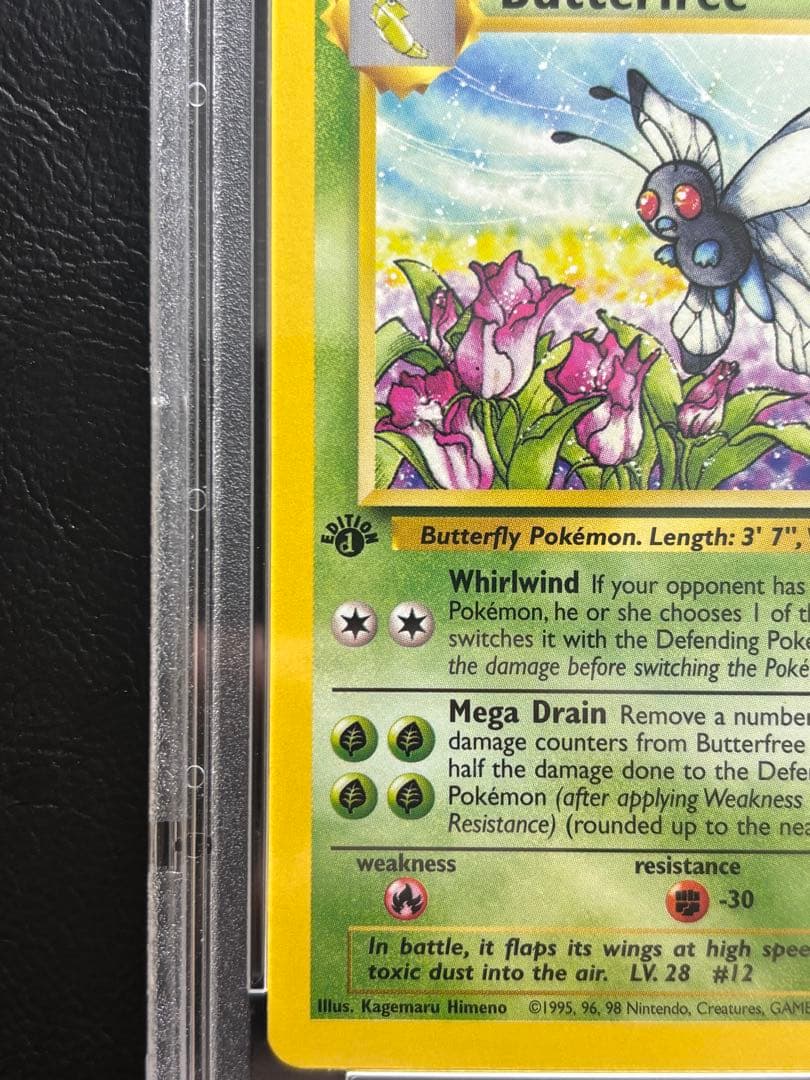 【PSA10】バタフリー 英語 33/64 d エディション エラー